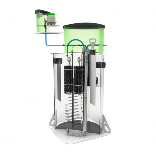 Zorde Rein 3 Midi